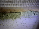 DSCN0723JPG.jpg