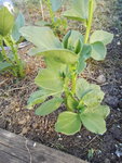 IMG_20180506_190035_s.jpg