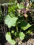 IMG_20180505_165216.jpg