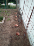 IMG_20180510_105458.gif