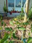 IMG_20180509_163511.gif