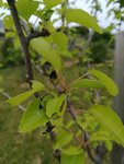 IMG_20180511_195054.jpg