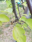 IMG_20180511_195025.jpg