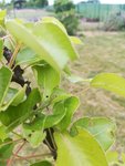 IMG_20180511_195016.jpg