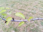 IMG_20180511_194953.jpg