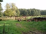 PA130007.JPG