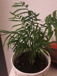 20180513_202554.jpg