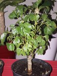 20180513_205513.jpg