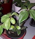 20180513_210044.jpg