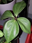 20180513_210050.jpg