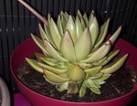 20180513_210546.jpg