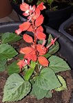 20180513_210642.jpg