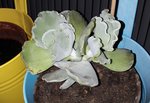 20180513_210649.jpg