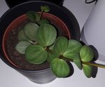 20180513_223425.jpg
