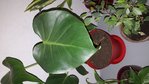 20180514_223606.jpg
