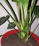 20180514_223644.jpg