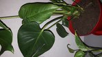 20180514_223639.jpg
