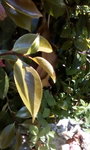IMG_20180515_134920.jpg