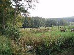 PA130021.JPG