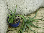 DSCN3119.JPG