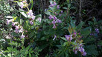 20180517_144054.jpg