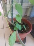 20180518-133604.jpg