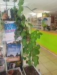 20180518-165701.jpg