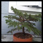 rps20180410_140728.jpg