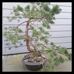 rps20180416_175138.jpg