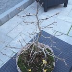 rps20171208_101201.jpg