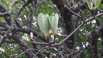 20180512_152505_s_s.jpg