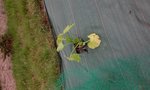 20180516_193248.jpg