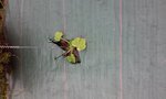 20180516_193852.jpg