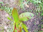 20180523_103443.jpg