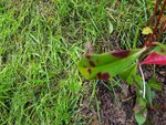 20180523_103525.jpg