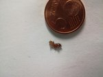 IMG_20180524_203918.jpg