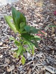 IMG_20180524_202131.jpg