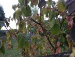 20180524_213200.jpg
