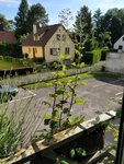 IMG_20180525_085317.jpg