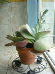 DSCN3121.JPG