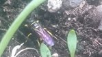 mms_20180526_145839.jpg