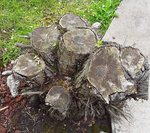 20180526_180958.jpg