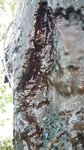 20180526_204700.jpg