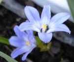 DSC05302.JPG