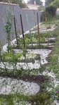20180526_140746 - copie.jpg
