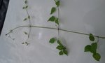 20180516_112720.jpg