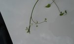 20180516_112713.jpg