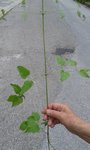20180516_112640.jpg