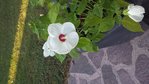 20150719_064944.jpg