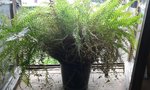 20180526_122709.jpg